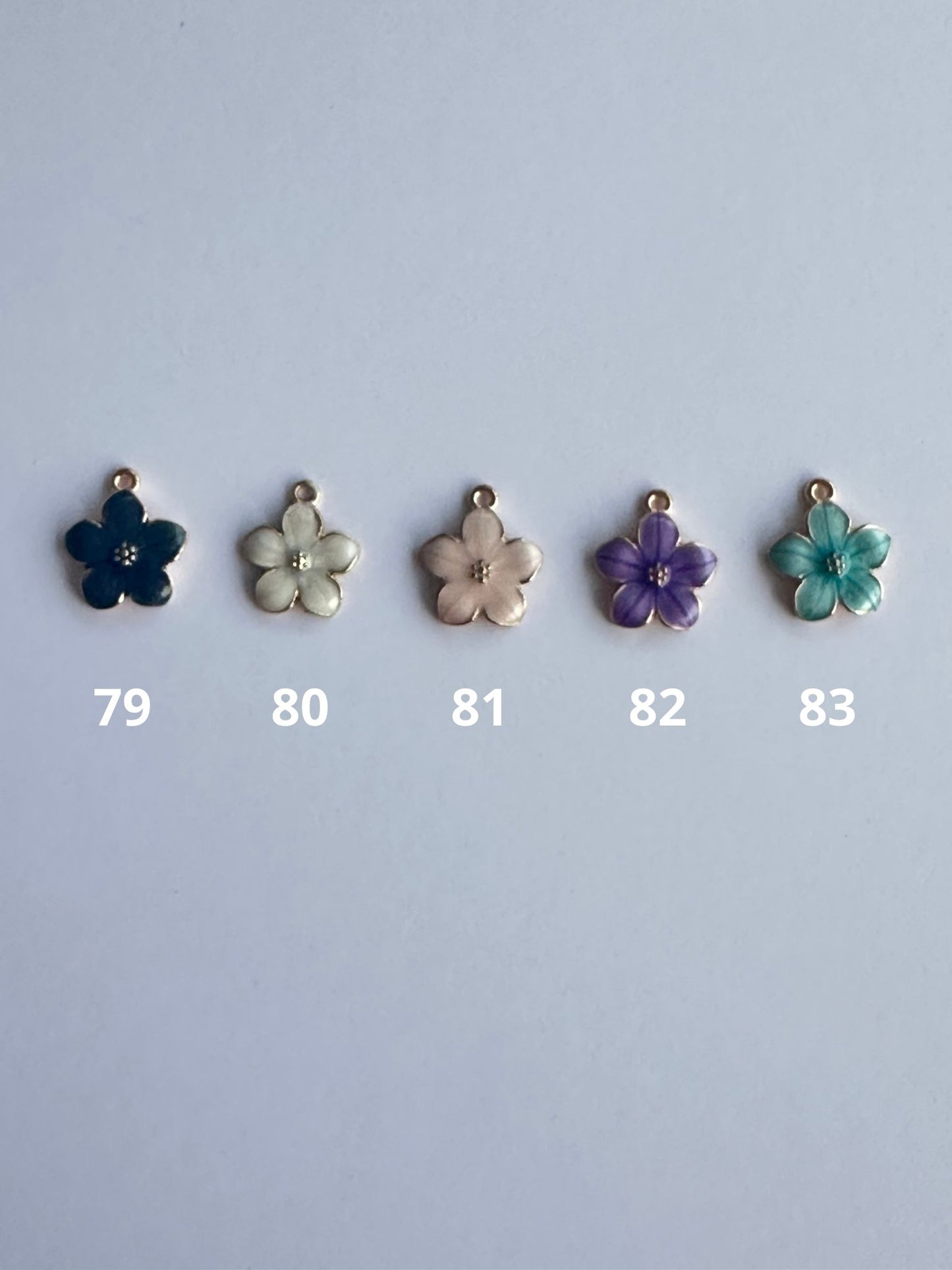 Personnalisation CHARMS